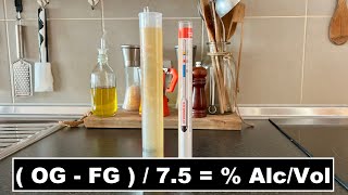 DENSIMETRO o IDROMETRO  Come Calcolare la Gradazione Alcolica di Birra e Vino fatto in casa [upl. by Ellan180]