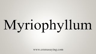 How To Say Myriophyllum [upl. by Dam]