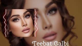 Teebat Galbi Remix 2024  Hearts Whisper by Amir Saeed  Original Track by Amina Noor [upl. by Reena]