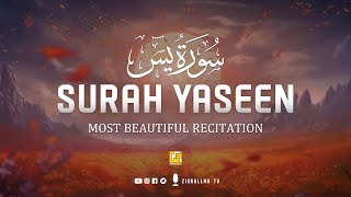 Worlds best recitation of Surah Yaseen  سورة يس ⋮ Healing Quran ⋮ Zikrullah TV [upl. by Ojillek]