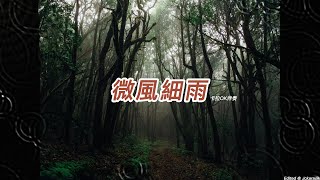 微風細雨 國語卡拉OK伴奏懷舊金曲 [upl. by Pepita]