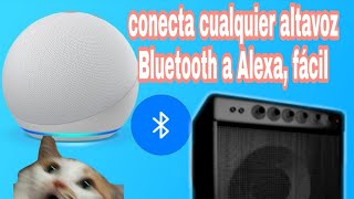 cómo vincular vía Bluetooth cualquier altavoz a Alexa echo dot4 [upl. by Marilee611]