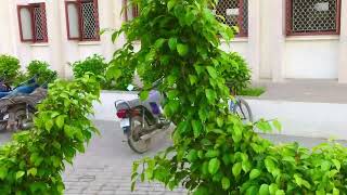 Darul uloom Karachi youtubevideo ilovevideo subscribe [upl. by Joletta401]