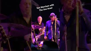 Celtic Rock n Roll Van Morrison with The Jive Aces Live music rules [upl. by Tyrone614]