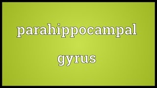 Parahippocampal gyrus Meaning [upl. by Maillliw]