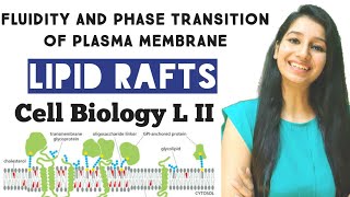 Dynamic nature of Plasma MembraneDiffusionFluidityLipid RaftPhase transitionCell Biology LII [upl. by Merc]