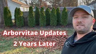 Arborvitae updates 2 years later Privacy fence progress [upl. by Toffey]