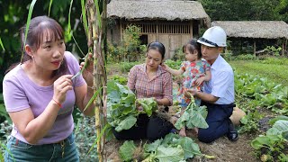 quotThe Crazy Witch Destroys The Vegetable Garden Husband Decides To Protect His Wife To The Endquot [upl. by Fronnia]