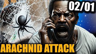 Deadly SPIDER EPIDEMIC Infesting Hotel Rooms [upl. by Gnil370]