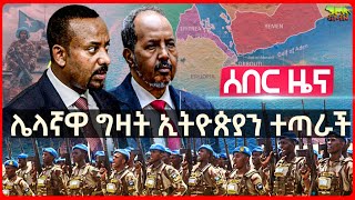 Ethiopia የሱማሊያዋ ግዛት ኢትዮጵያን ተጣራች  ኢትዮጵያ እና እስራኤልን ከሰሱ  ፓርላማው ውስጥ ተቀማመሱ  የኢትዮጵያ ጦር ሱማሌላንድ ከትሟል አሉ [upl. by Jovitta419]