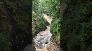 Ingleton waterfalls  Yorkshire Dales  England [upl. by Valina]