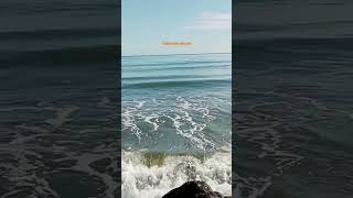 Ocean Waves  nature sounds for dogs  relaxing waves Sounds for sleep [upl. by Faulkner671]