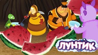 Лунтик  День арбуза 🍉🍉🍉 Сборник мультфильмов для детей [upl. by Naujtna]