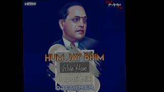 Hum Jay Bhim Wale Hai Tapori Sandal Mix DJ FAHIM FM AMT [upl. by Hsiwhem]