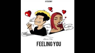 Lucas Coly  Feeling You [upl. by Eenel]