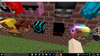 Minecraft how to get custom heads Easy Tutorial [upl. by Anneiv]