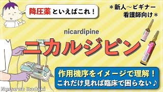 【ニカルジピン徹底解説！】これだけ見れば臨床で困らない！ [upl. by Einapets]