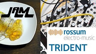 ROSSUM Electro Music TRIDENT Oscillator  Jam [upl. by Nrojb]