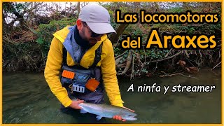 Locomotoras del Araxes Pesca a ninfa y streamer flyfishing catchandrelease trout [upl. by Ellesirg498]