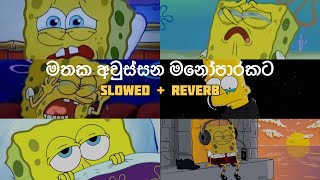 මතක අවුස්සන මනෝපාරකට  Slowed and Reverb Songs  manoparakata sindu playlist 11 [upl. by Bonilla608]