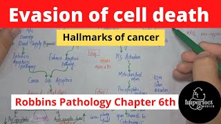 Evasion of Cell DeathCancer hallmarksRobbins Pathology chapter 6 lecturespathology neoplasia [upl. by Beatriz183]