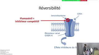 Le Rémimazolam en réanimation [upl. by Drapehs]