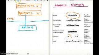 APNEUSTIC BREATHING [upl. by Aveneg]