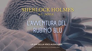 Sherlock Holmes Lavventura del Rubino Blu  AC Doyle  Audiolibro ITA [upl. by Demetria]