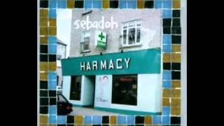 Sebadoh  On Fire [upl. by Brant]