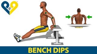 How to do triceps dips on bench [upl. by Aun]