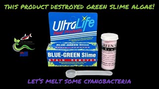 Ultralife Blue Green Slime Algae Remover Review [upl. by Joelie]