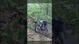 Amateur Enduro  Double log crossing [upl. by Eoin]