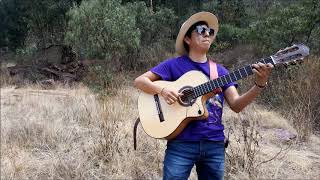 quotVienes y te Vasquot by Riber Oré solo de guitarra [upl. by Linnet]