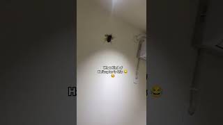 Elicopter Elicopter 🗣️😂  helicopter funny shorts [upl. by Francyne847]