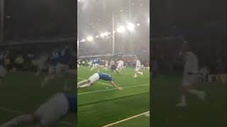 Everton vs Crystal Palace CalvertLewin goal from a different angleRicharlison diving celebration [upl. by Coates768]