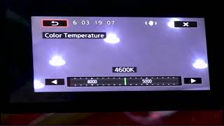 How to Set Canon XA11 White balance [upl. by Atalya]