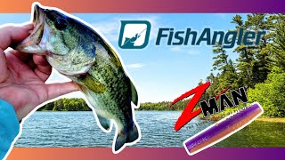 American lake bass fishing from docks [upl. by Adnir186]