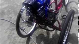 Motorized trike bike 212cc electric start [upl. by Berta]