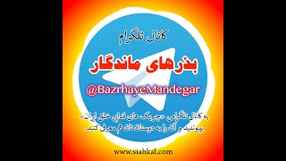 راه انقلاب ما» گفت و گویی با رفیق اشرف دهقانی از طرف کانال تلگرام بذرهای ماندگار  بخش اول» [upl. by Najib908]