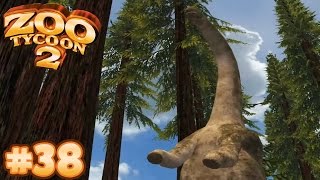 The Forest Of Giants  Zoo Tycoon 2 38 [upl. by Nennahs]