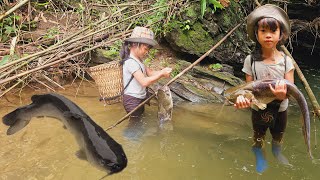 Fish trapping techniquepoor girl Linh DanFish trap with parachute wire caught catfish weighing 4kg [upl. by Yendor]