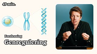 Biologi 2  Genregulering [upl. by Nabal615]