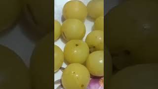 how to make amla jam  jam with jaggery  usiri jam  home made gooseberryfamilyhousekitchen [upl. by Gristede]