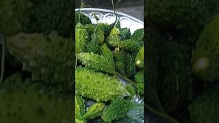 quotBitter to Betterquot💚Karela fry recipe 😻 shorts shortsfeed yt homemade viralvideo trending [upl. by Jana]