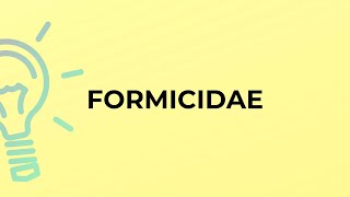 What is the meaning of the word FORMICIDAE [upl. by Edna998]