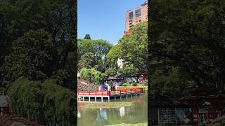 La danza de los paraguas  Bailes típicos de Japón travel jardinjapones buenosaires [upl. by Monjo]