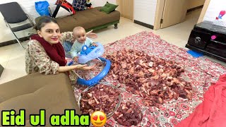 Qurbani ka Pehla din 😍  Eid ul adha Mubarak❤️ [upl. by Stclair257]