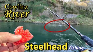 Cowlitz River Steelhead amp Springer Fishing Bobber Doggin Pulling Plugs Divers amp Coon Shrimp [upl. by Airak]