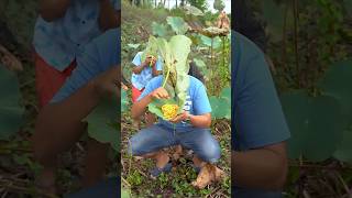 Outdoorfood U Are so Kind Bro In Forest Survivalfood forest outdoor lifehack bushcraft foodfun [upl. by Kcired]