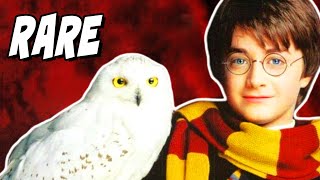 The RARE Instrument Behind Hedwigs Theme  Harry Potter Explained [upl. by Wertz80]